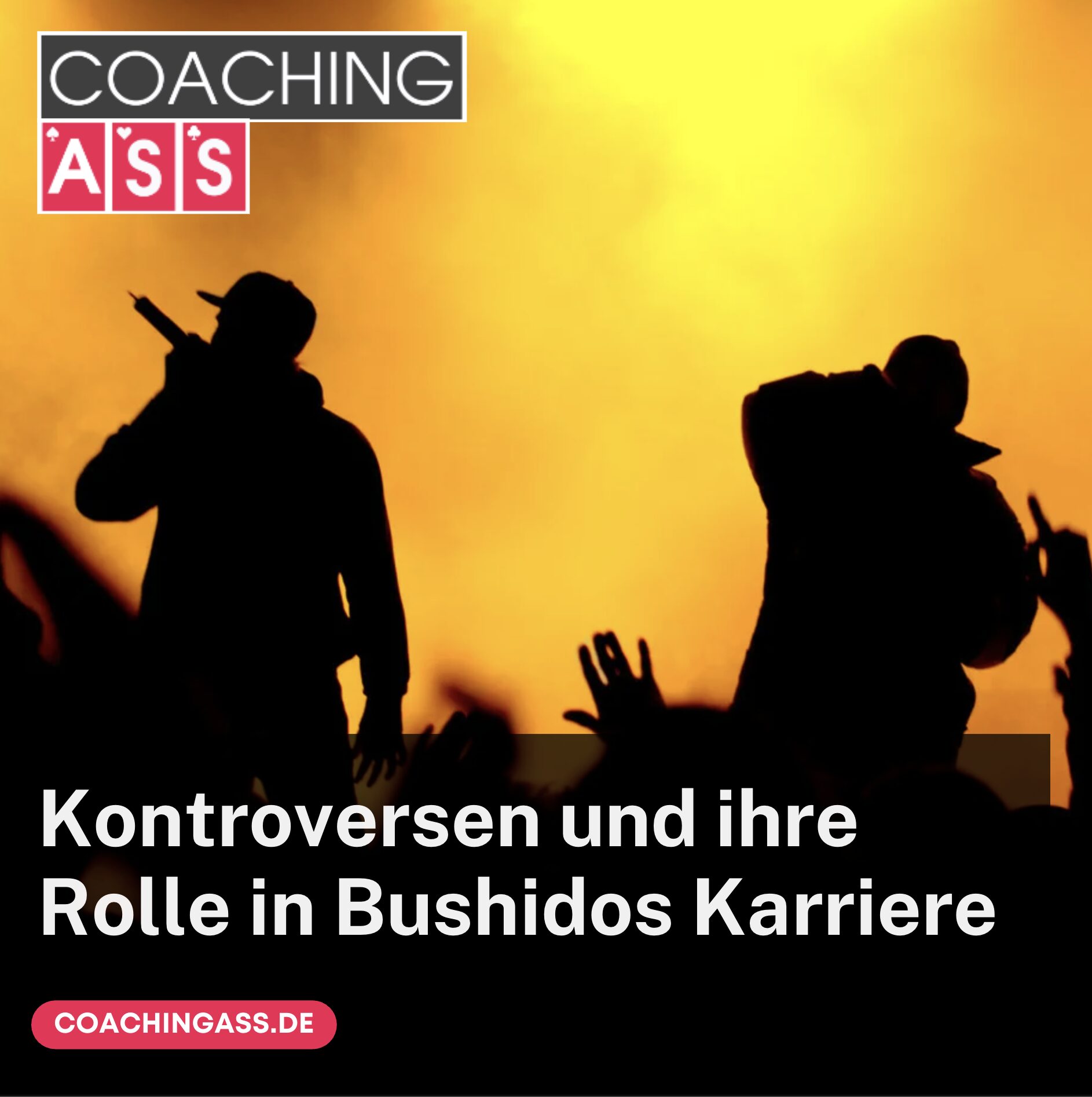 Wie viel Vermögen hat Bushido? Kontroversen und ihre Rolle in Bushidos Karriere