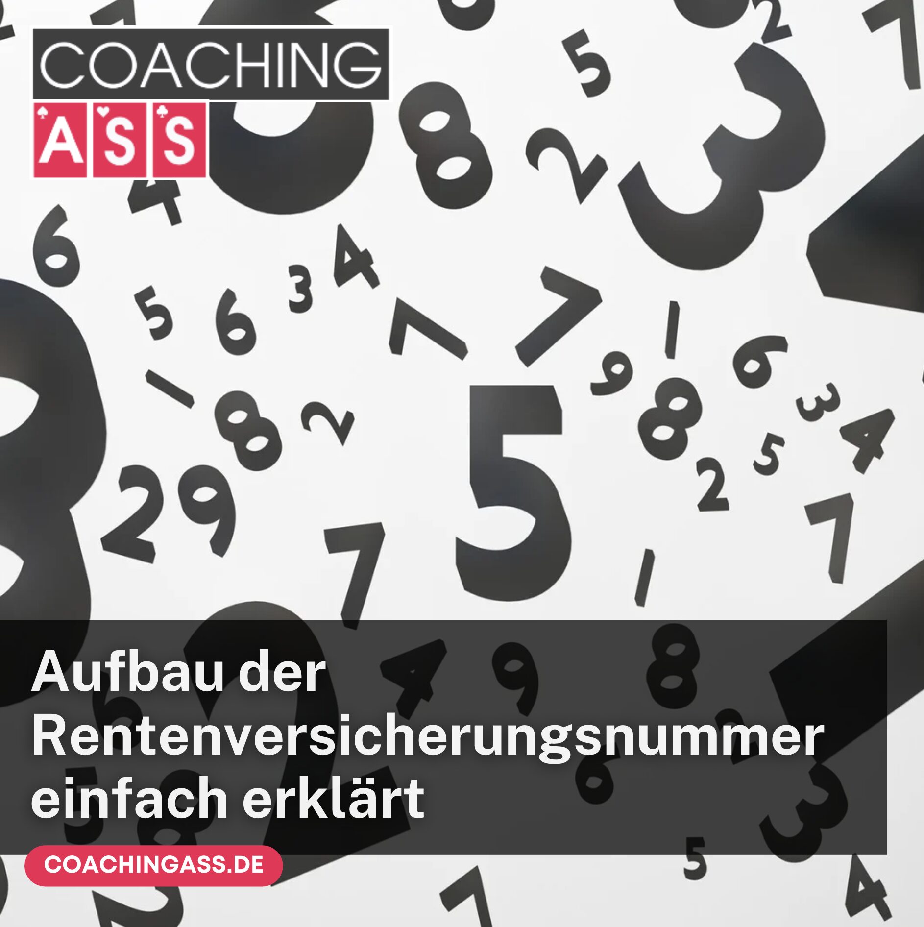 Wo finde ich meine Rentenversicherungsnummer? Aufbau der Rentenversicherungsnummer einfach erklärt