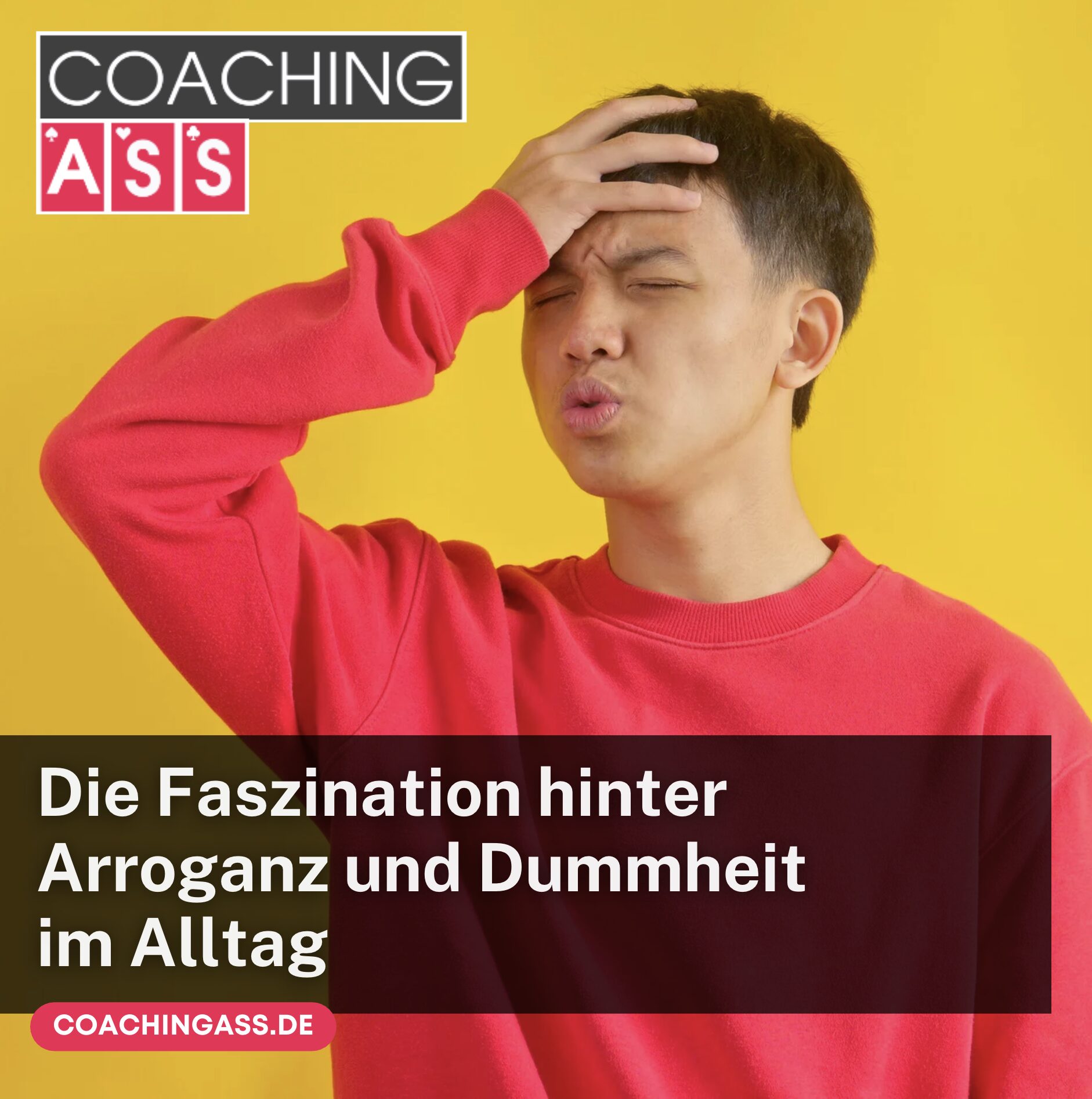 Die Faszination hinter Arroganz und Dummheit im Alltag