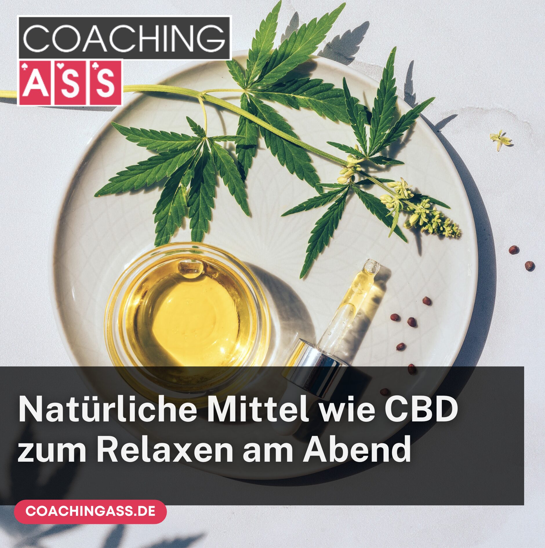 Natürliche Mittel wie CBD zum Relaxen am Abend