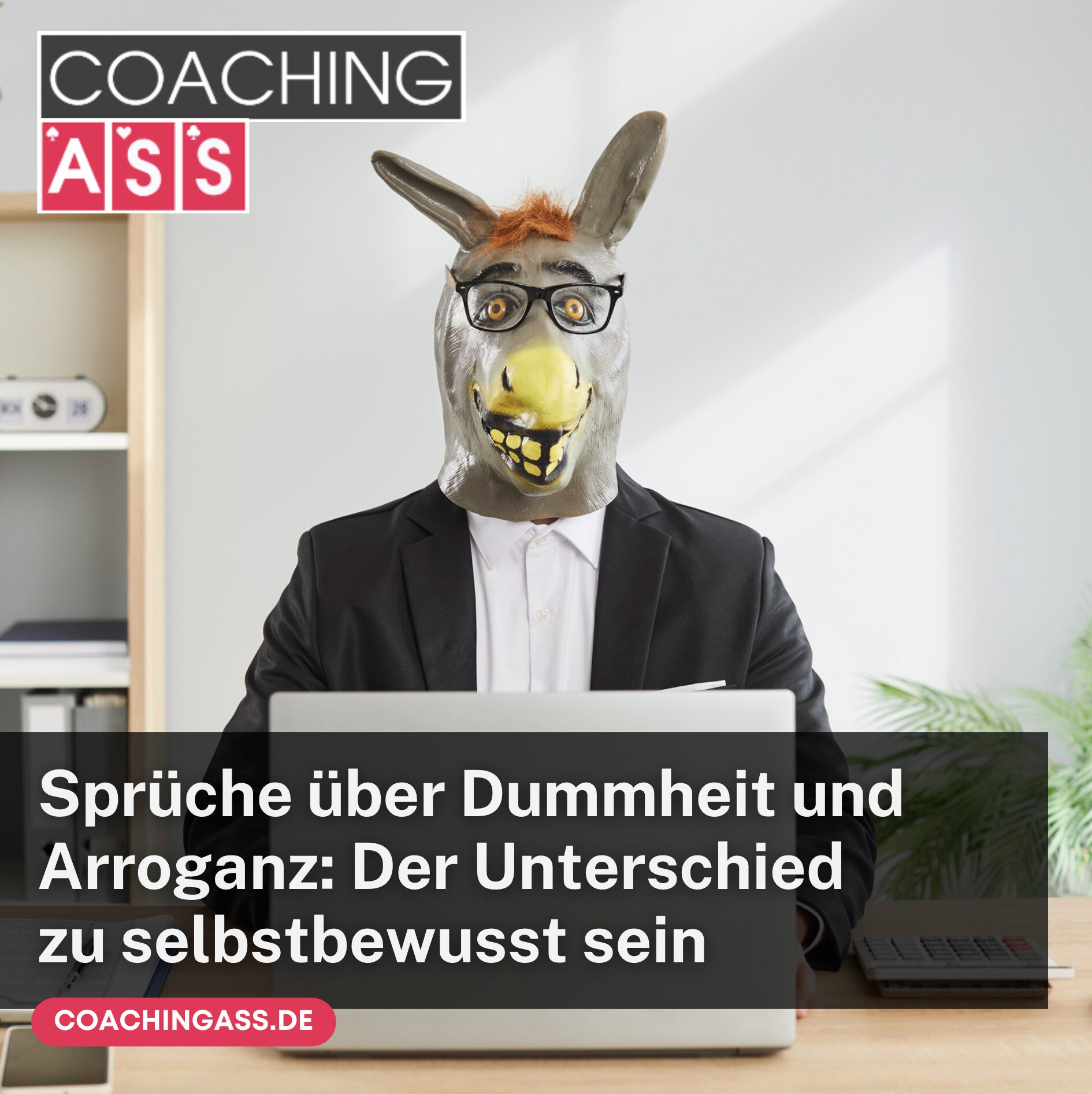 Sprüche über Dummheit und Arroganz: Der Unterschied zu selbstbewusst sein