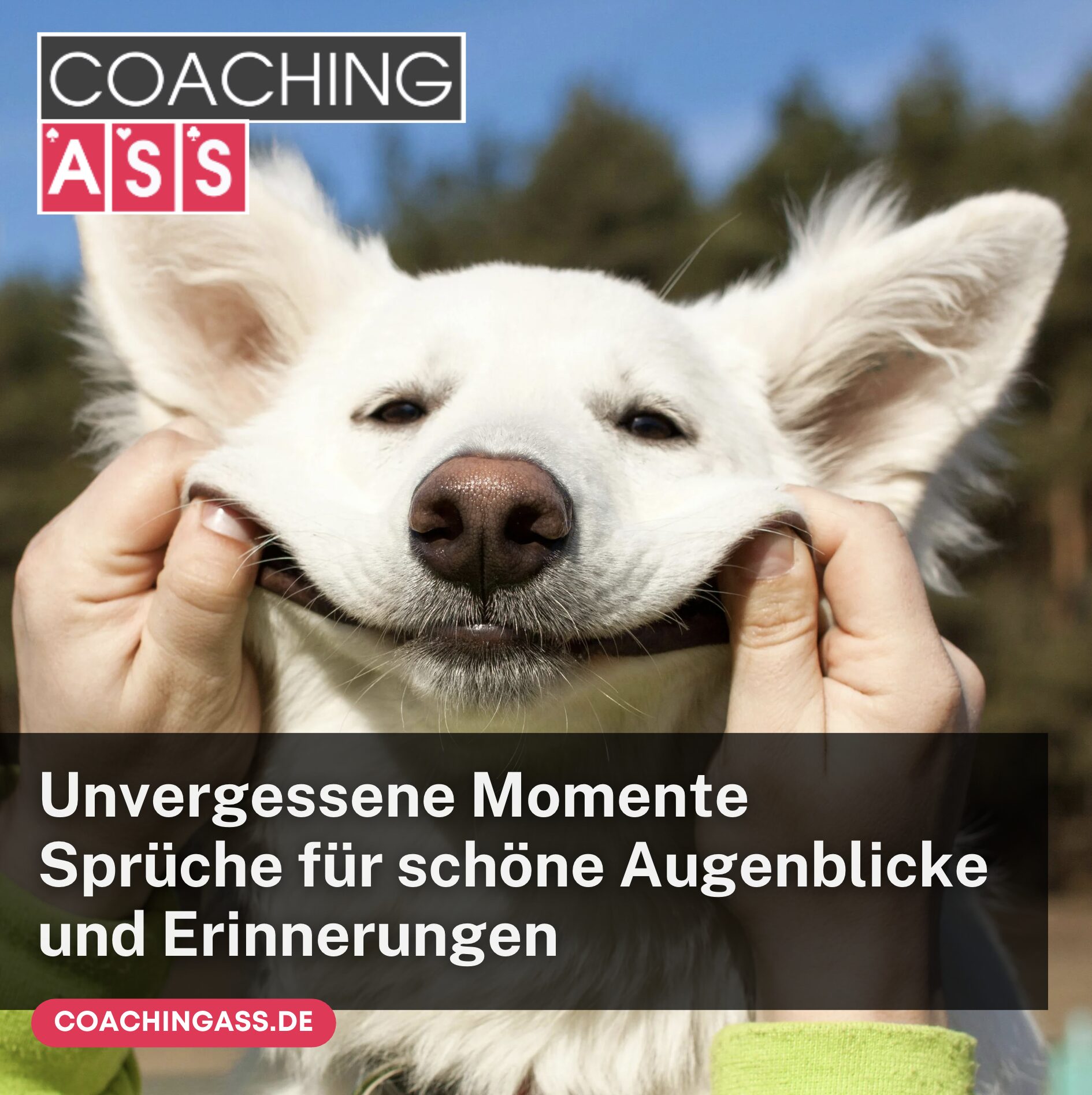 Unvergessene Momente Sprüche für schöne Augenblicke und Erinnerungen