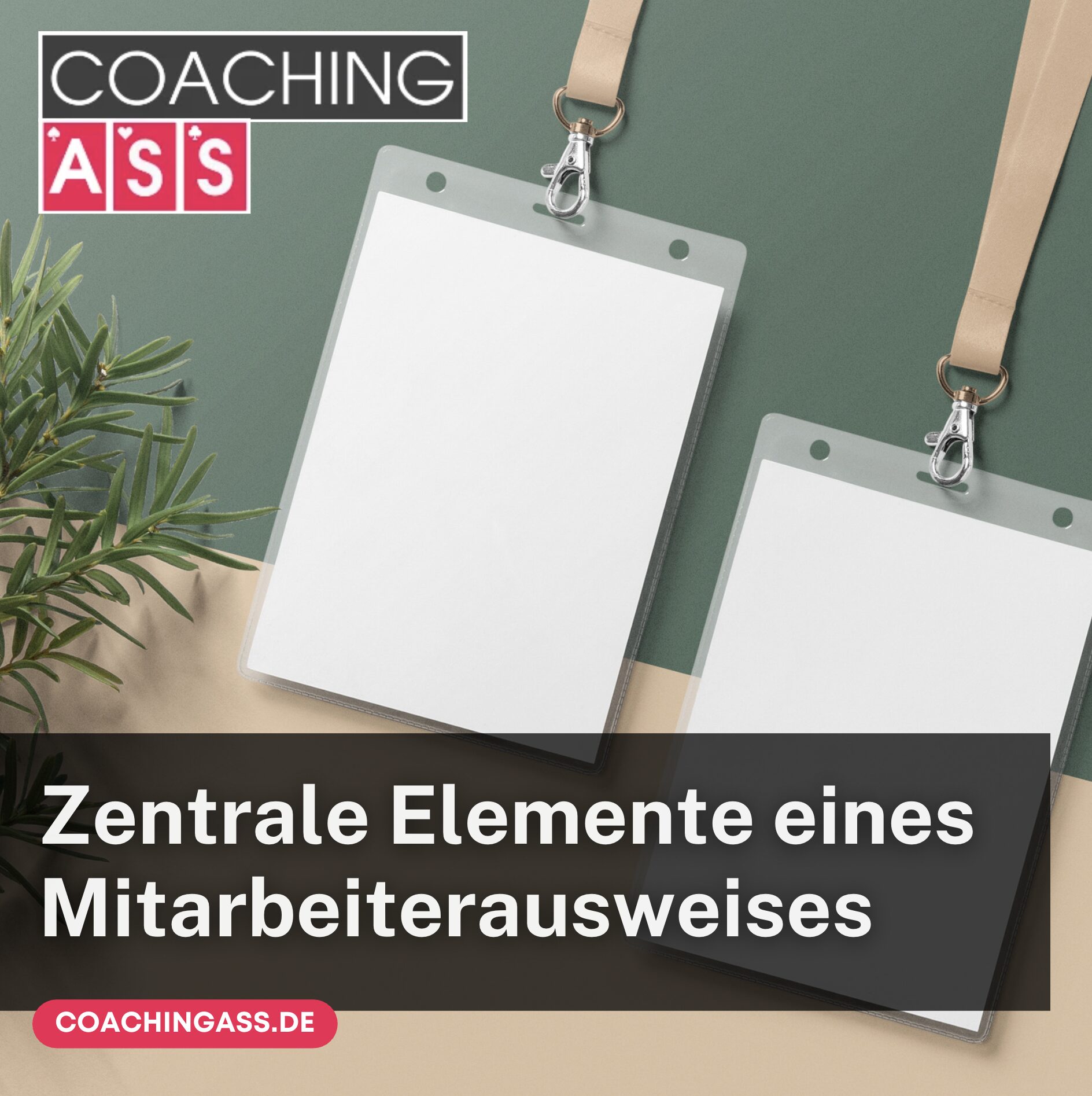 Zentrale Elemente eines Mitarbeiterausweises