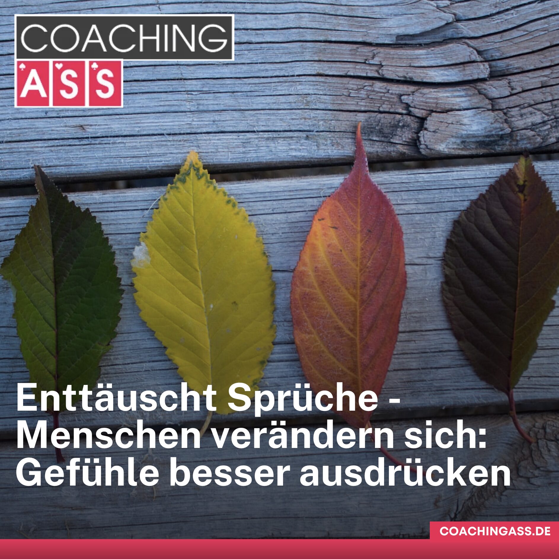 Enttäuscht Sprüche - Menschen verändern sich: Gefühle besser ausdrücken