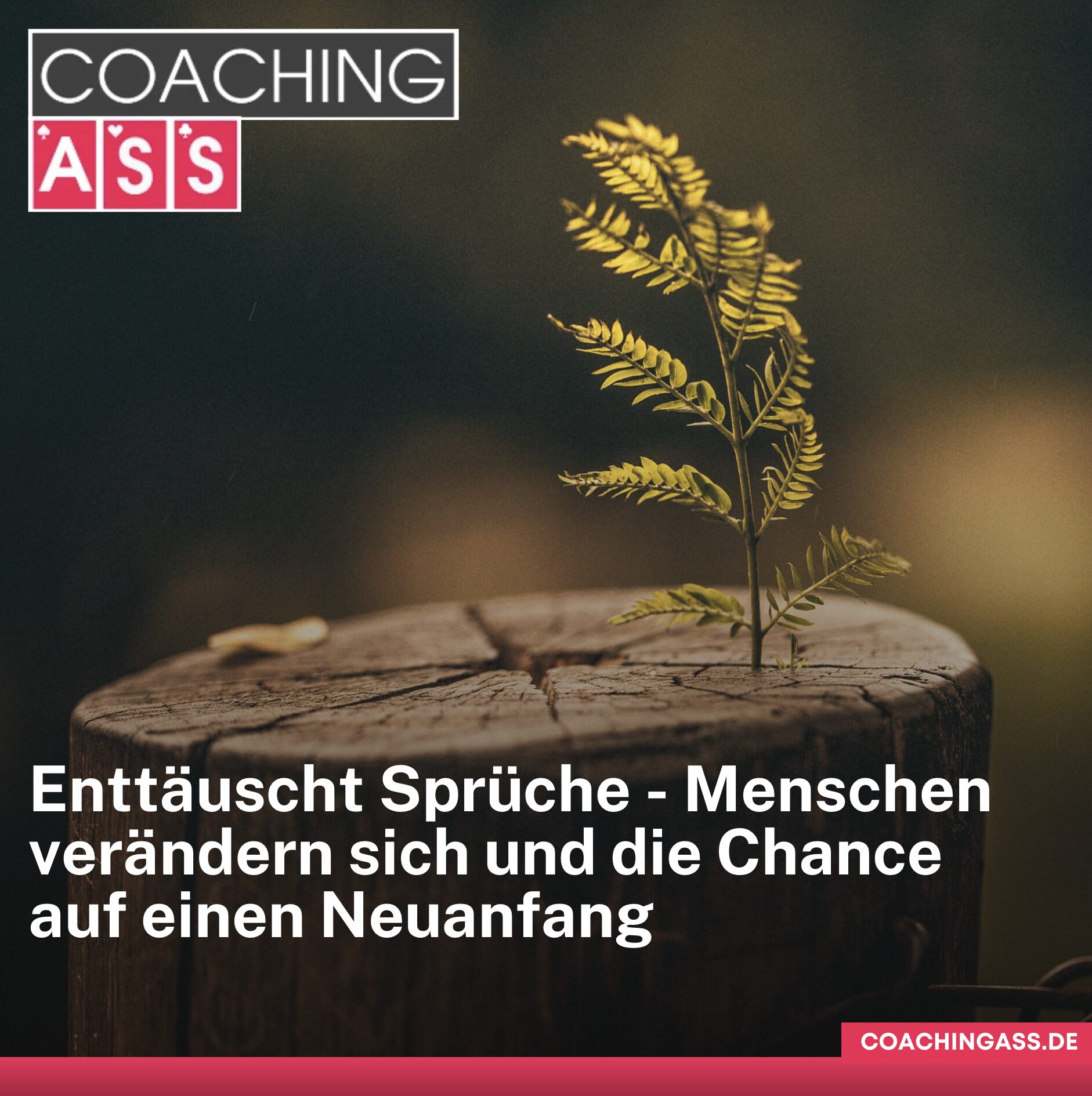 Enttäuscht Sprüche - Menschen verändern sich und die Chance auf einen Neuanfang