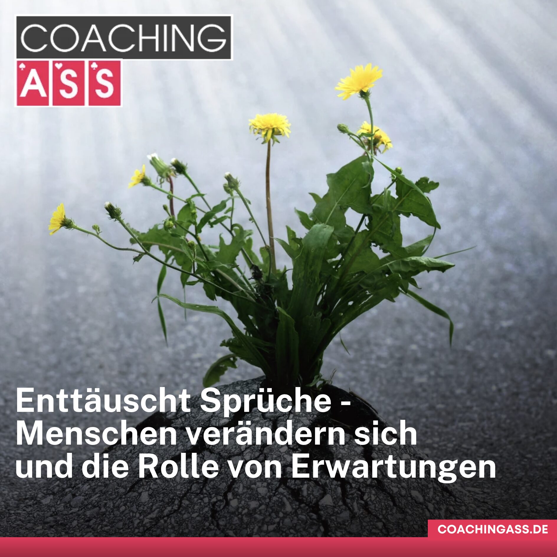 Enttäuscht Sprüche - Menschen verändern sich und die Rolle von Erwartungen