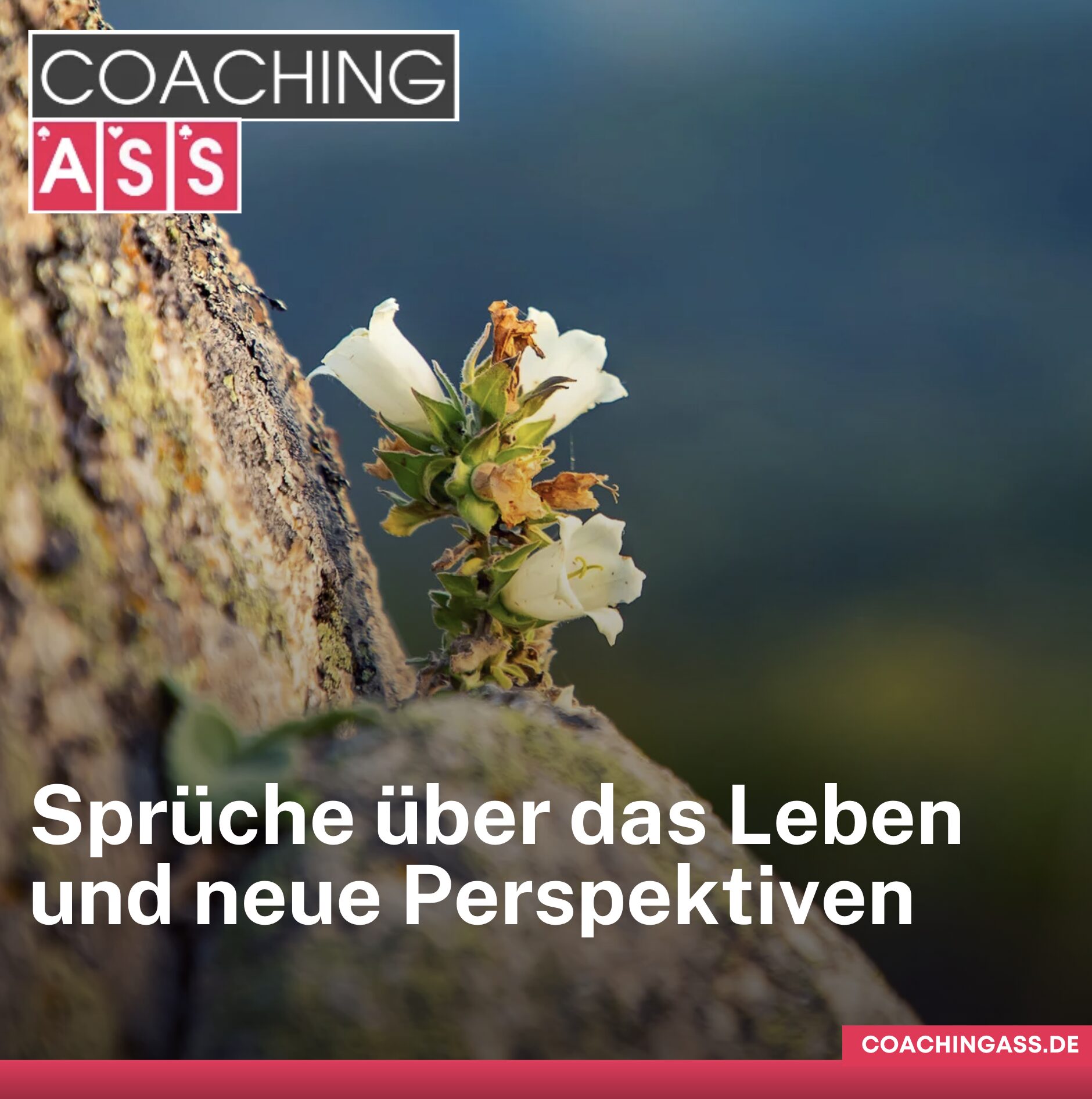 Starke Gedanken - harte aber wahre Sprüche über das Leben und neue Perspektiven