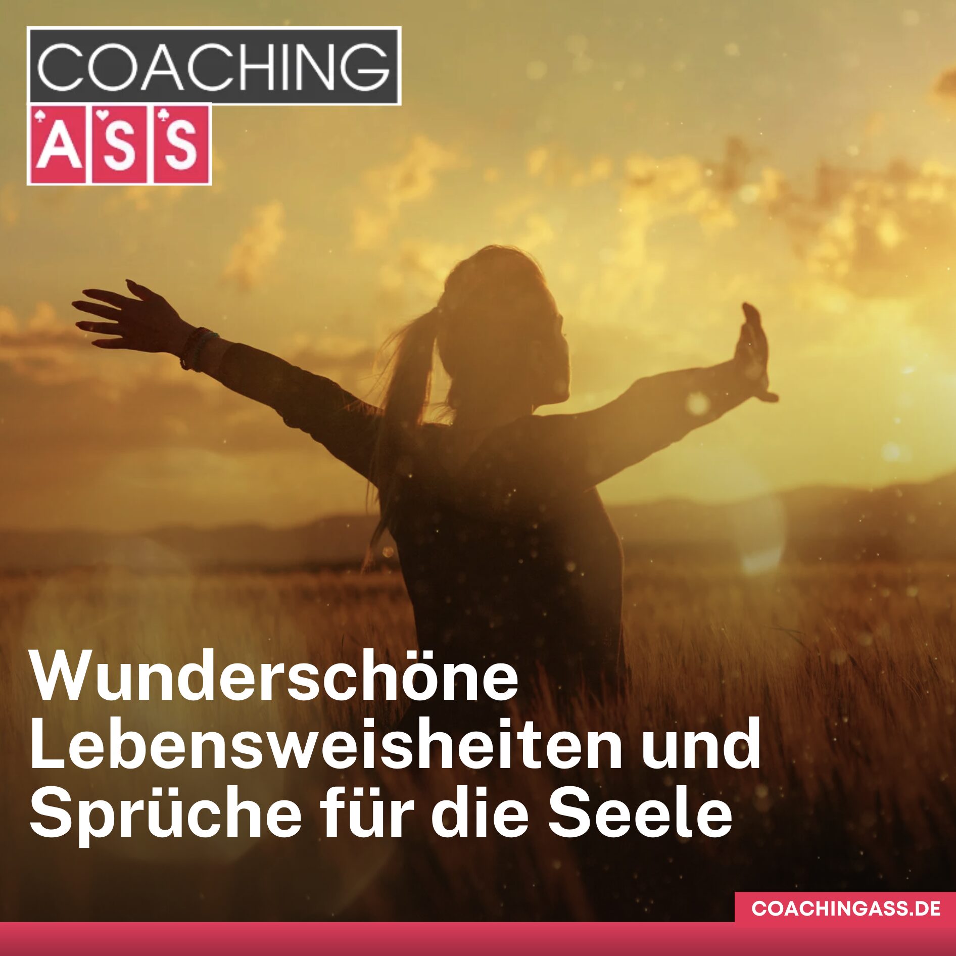 Wunderschöne Lebensweisheiten und Sprüche für die Seele Zeitlose Worte 
