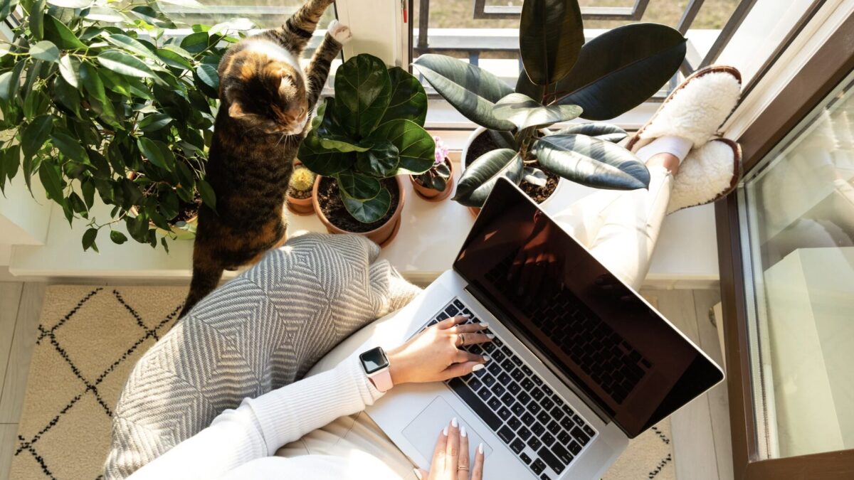 Blog- und Social-Media-Inhalte