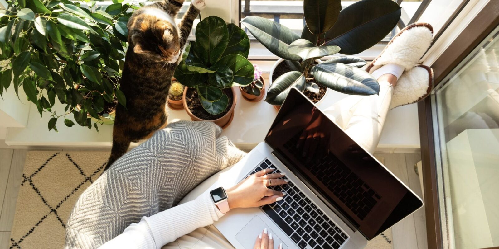 Blog- und Social-Media-Inhalte