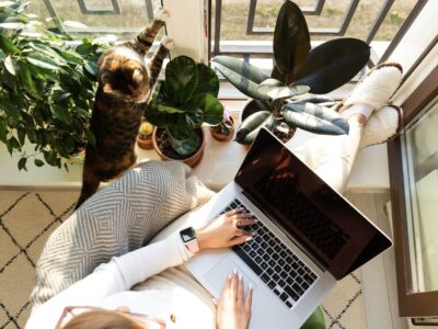 Blog- und Social-Media-Inhalte