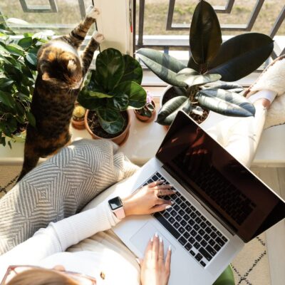 Blog- und Social-Media-Inhalte