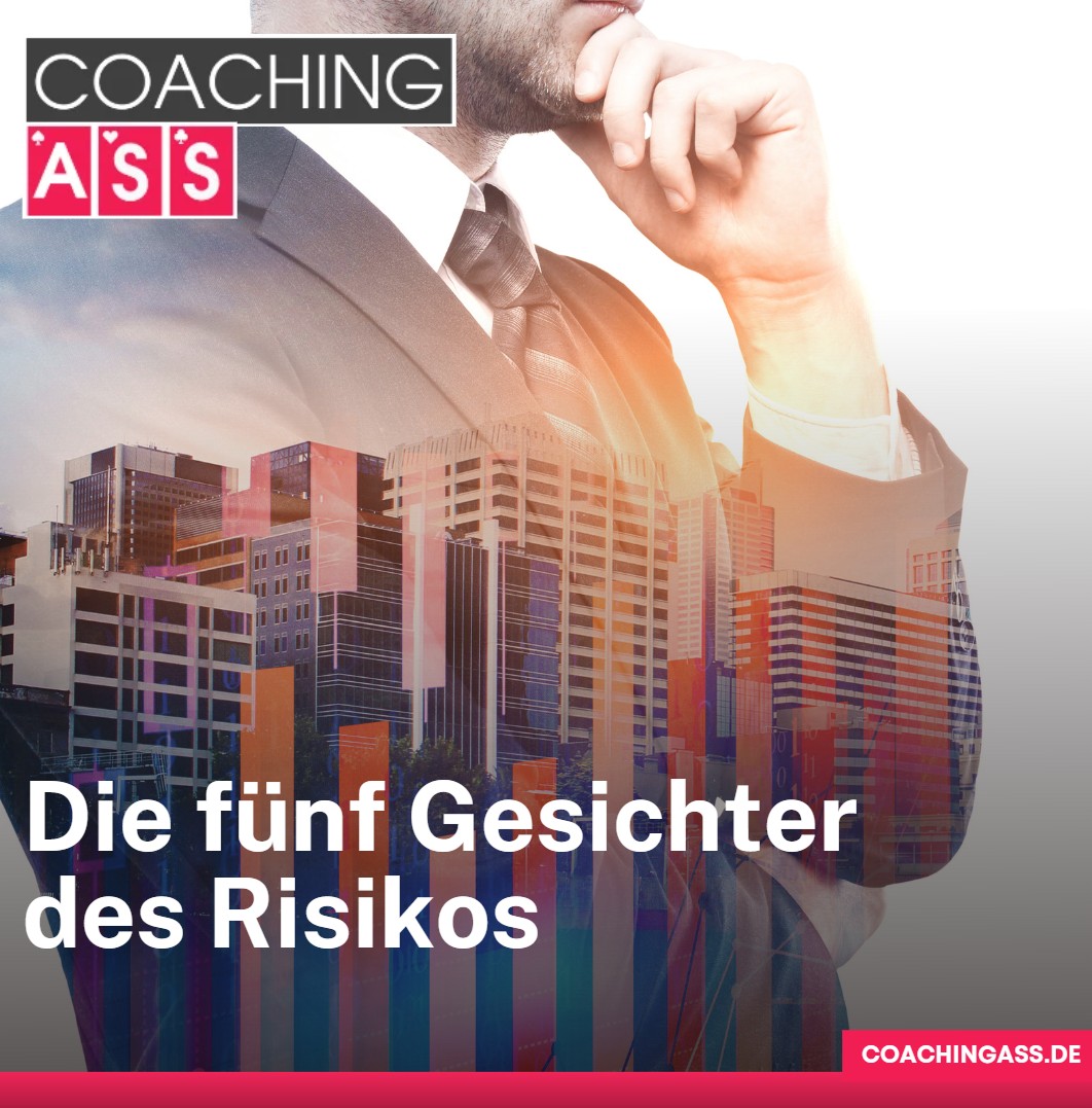 Die fünf Gesichter des Risikos