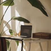 Premiumisierung im Konsum
